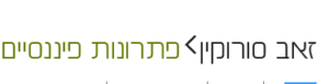 סורוקין פתרונות פיננסים