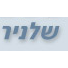 שלניר יעוץ ושיווק עסקי בעמ